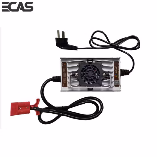 Caricatore personalizzabile della batteria agli ioni di litio del carrello elevatore del carrello di golf di potere 36V12A 48V10A 58.4V10A 120W del transpallet V Marine